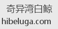 奇异湾白鲸
