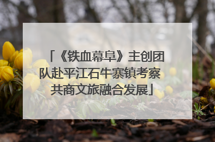 《铁血幕阜》主创团队赴平江石牛寨镇考察 共商文旅融合发展