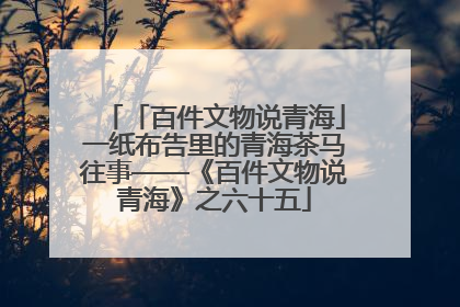 「百件文物说青海」一纸布告里的青海茶马往事——《百件文物说青海》之六十五