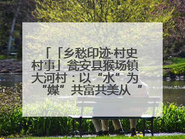 「乡愁印迹·村史村事」瓮安县猴场镇大河村：以“水”为“媒”共富共美从“河”而来