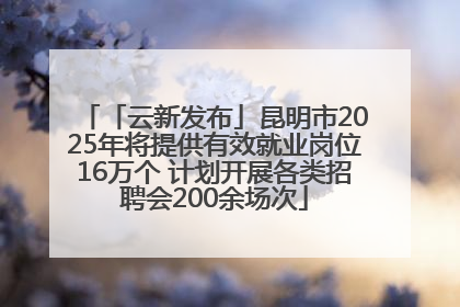 「云新发布」昆明市2025年将提供有效就业岗位16万个 计划开展各类招聘会200余场次