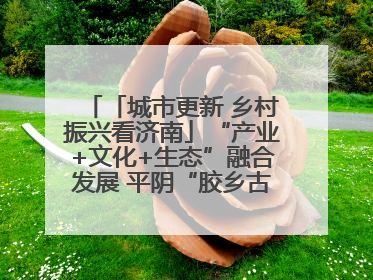 「城市更新 乡村振兴看济南」“产业+文化+生态”融合发展 平阴“胶乡古镇”探索振兴路径成效显著