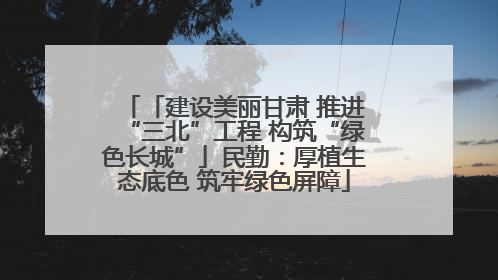 「建设美丽甘肃 推进“三北”工程 构筑“绿色长城”」民勤：厚植生态底色 筑牢绿色屏障