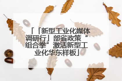 「新型工业化媒体调研行」部省政策“组合拳”激活新型工业化华东样板
