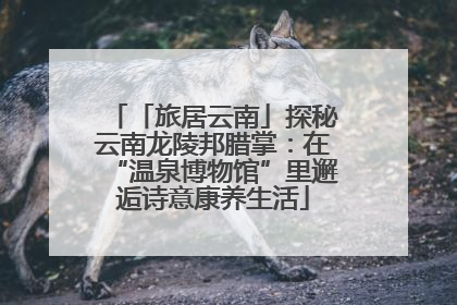 「旅居云南」探秘云南龙陵邦腊掌：在“温泉博物馆”里邂逅诗意康养生活