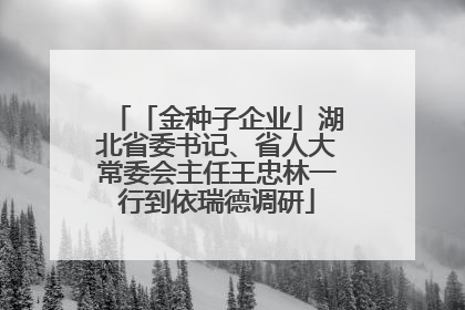 「金种子企业」湖北省委书记、省人大常委会主任王忠林一行到依瑞德调研