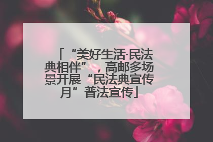“美好生活·民法典相伴”，高邮多场景开展“民法典宣传月”普法宣传