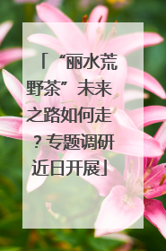 “丽水荒野茶”未来之路如何走？专题调研近日开展