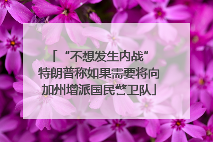 “不想发生内战” 特朗普称如果需要将向加州增派国民警卫队