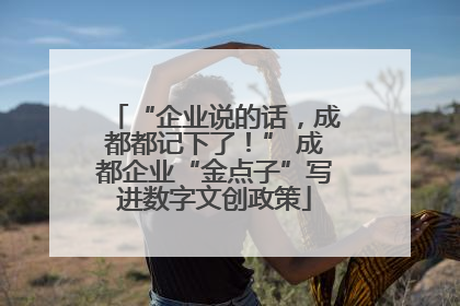 “企业说的话，成都都记下了！” 成都企业“金点子”写进数字文创政策