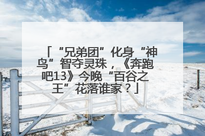 “兄弟团”化身“神鸟”智夺灵珠，《奔跑吧13》今晚“百谷之王”花落谁家？