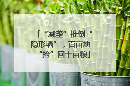 “减垄”推倒“隐形墙”，百亩地“捡”回十亩粮