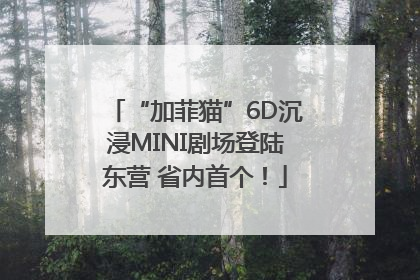 “加菲猫”6D沉浸MINI剧场登陆东营 省内首个！