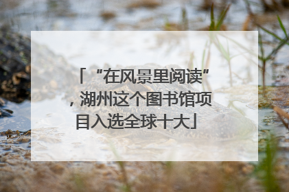 “在风景里阅读”，湖州这个图书馆项目入选全球十大