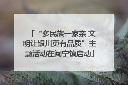 “多民族一家亲 文明让银川更有品质”主题活动在闽宁镇启动