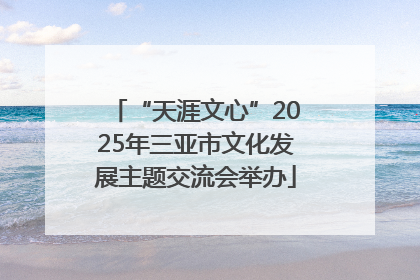 “天涯文心”2025年三亚市文化发展主题交流会举办