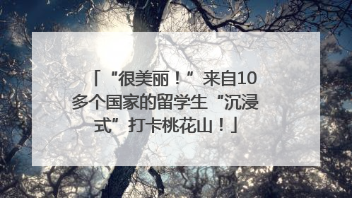 “很美丽！”来自10多个国家的留学生“沉浸式”打卡桃花山！