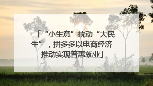 “小生意”撬动“大民生”，拼多多以电商经济推动实现普惠就业