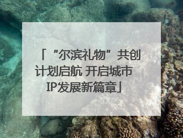 “尔滨礼物”共创计划启航 开启城市IP发展新篇章