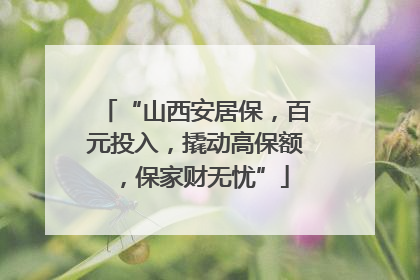 “山西安居保，百元投入，撬动高保额，保家财无忧”
