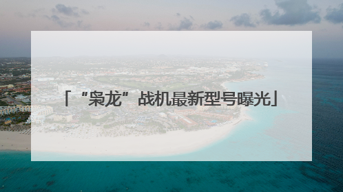 “枭龙”战机最新型号曝光