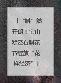 “斛”然开朗！宝山罗泾石斛花节绽放“花样经济”