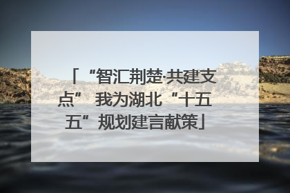 “智汇荆楚·共建支点” 我为湖北“十五五”规划建言献策