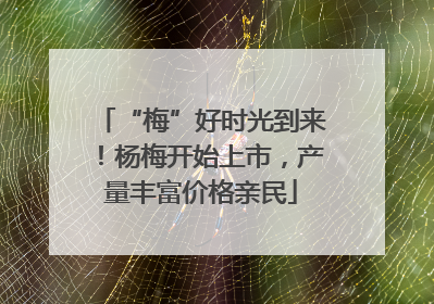 “梅”好时光到来！杨梅开始上市，产量丰富价格亲民