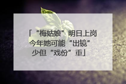 “梅姑娘”明日上岗 今年她可能“出镜”少但“戏份”重