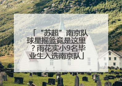 “苏超”南京队球星摇篮竟是这里？雨花实小9名毕业生入选南京队