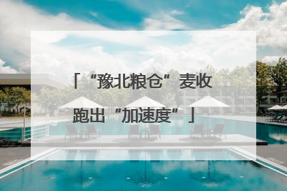 “豫北粮仓”麦收跑出“加速度”