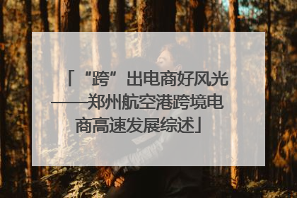“跨”出电商好风光——郑州航空港跨境电商高速发展综述