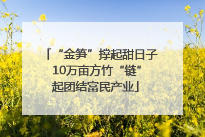 “金笋”撑起甜日子 10万亩方竹“链”起团结富民产业