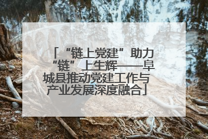 “链上党建”助力“链”上生辉——阜城县推动党建工作与产业发展深度融合