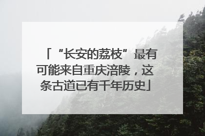 “长安的荔枝”最有可能来自重庆涪陵，这条古道已有千年历史