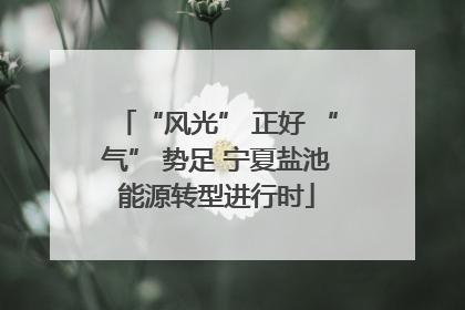 “风光” 正好 “气” 势足 宁夏盐池能源转型进行时