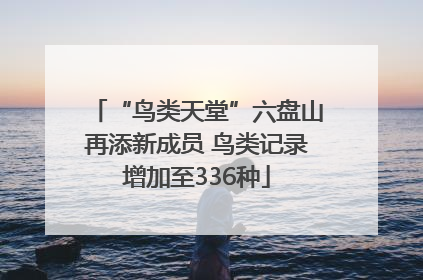 “鸟类天堂”六盘山再添新成员 鸟类记录增加至336种