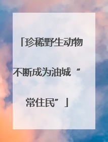 珍稀野生动物不断成为油城“常住民”