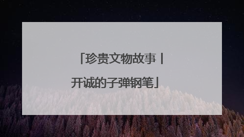 珍贵文物故事丨开诚的子弹钢笔