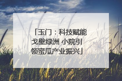 玉门：科技赋能戈壁绿洲 小院引领蜜瓜产业振兴