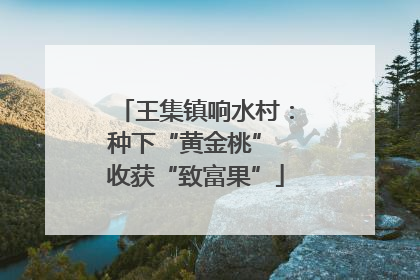 王集镇响水村：种下“黄金桃” 收获“致富果”
