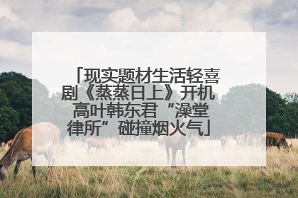 现实题材生活轻喜剧《蒸蒸日上》开机 高叶韩东君“澡堂律所”碰撞烟火气