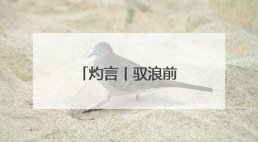 灼言丨驭浪前行，勇立潮头