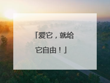 爱它，就给它自由！