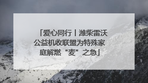 爱心同行丨潍柴雷沃公益机收联盟为特殊家庭解燃“麦”之急