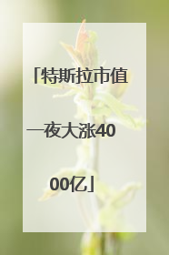 特斯拉市值一夜大涨4000亿