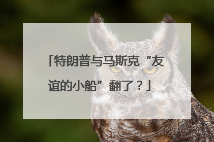 特朗普与马斯克“友谊的小船”翻了？