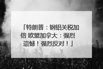 特朗普：钢铝关税加倍 欧盟加拿大：强烈遗憾！强烈反对！
