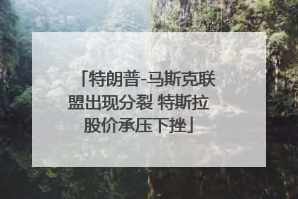 特朗普-马斯克联盟出现分裂 特斯拉股价承压下挫