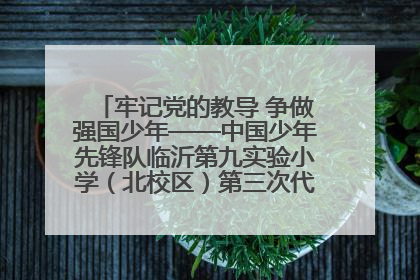 牢记党的教导 争做强国少年——中国少年先锋队临沂第九实验小学（北校区）第三次代表大会胜利召开
